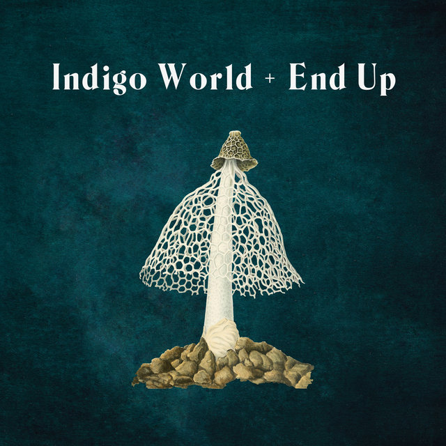 Indigo World / End Up
