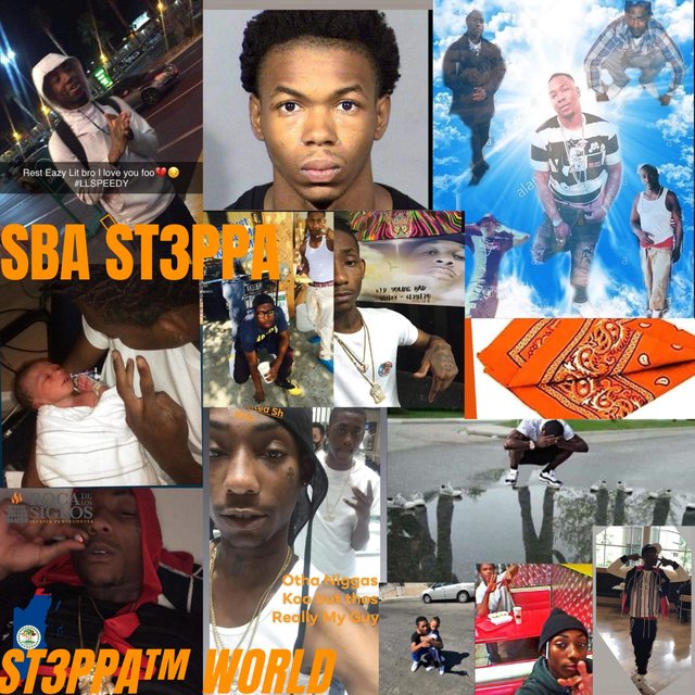 ST3PPA's WORLD