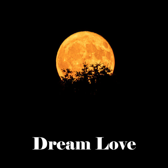 Dream Love