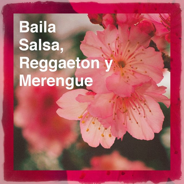 Baila Salsa, Reggaeton y Merengue