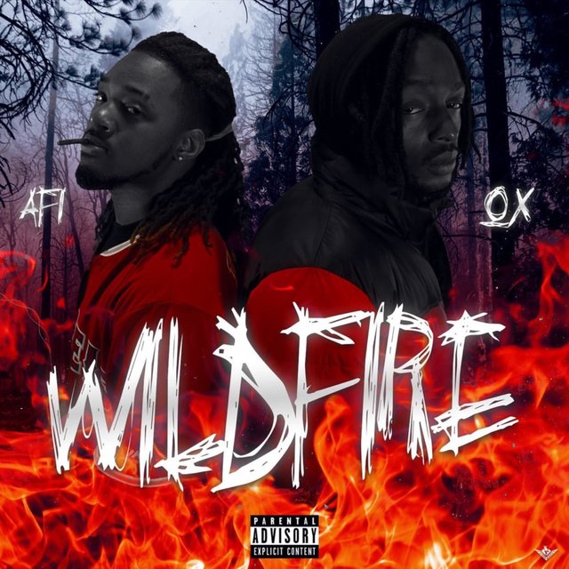 WildFire