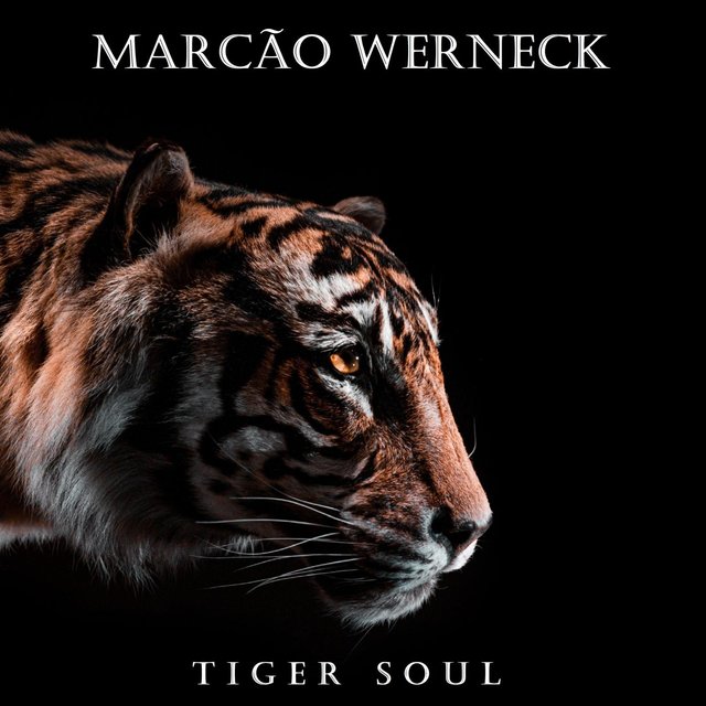 Tiger Soul