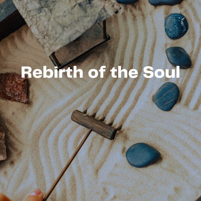 Rebirth of the Soul