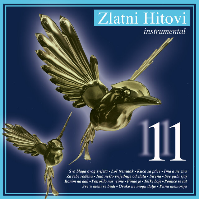 Zlatni Hitovi 11 - Instrumental