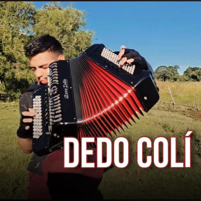 Dedo Colí
