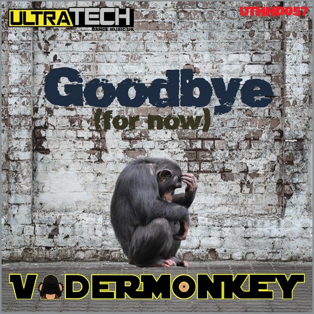 Goodbye (For Now)