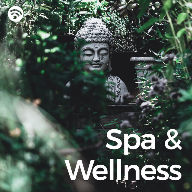 Spa & Wellness