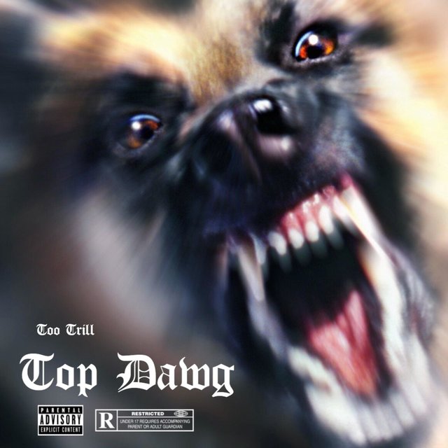 Top Dawg