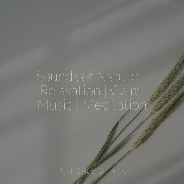 Sounds of Nature | Relaxation | Calm Music | Meditation