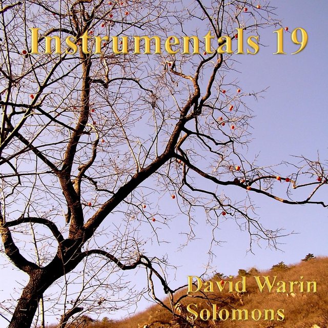 Instrumentals 19