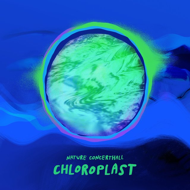 Chloroplast