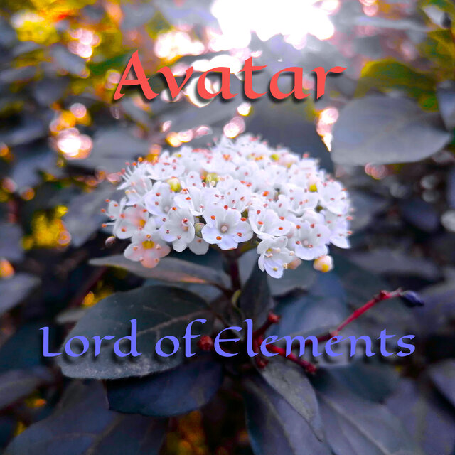 Avatar Lord of Elements