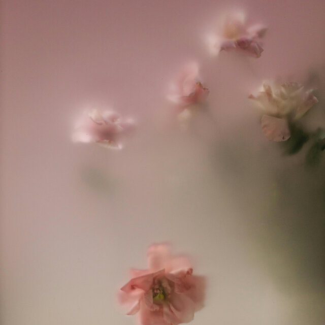 Gentle Whisper