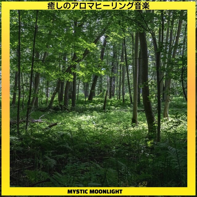 癒しのアロマヒーリング音楽