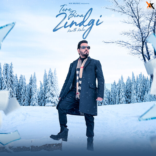 Tere Bina Zindgi