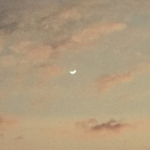 Cover art for album Frygt ikke byens lys by Morten Jessen