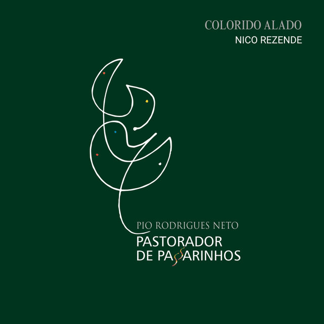 Colorido Alado