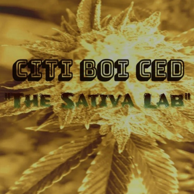 The Sativa Lab