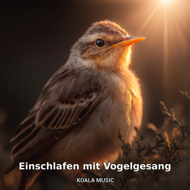 Einschlafen mit Vogelgesang