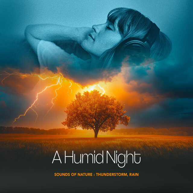 A Humid Night