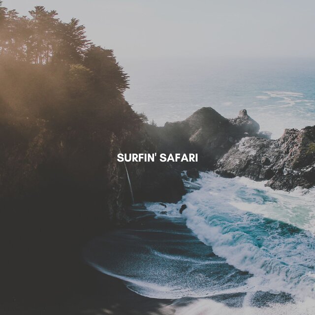 Surfing Safari
