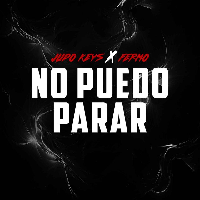 No Puedo Parar (feat. Fermo)