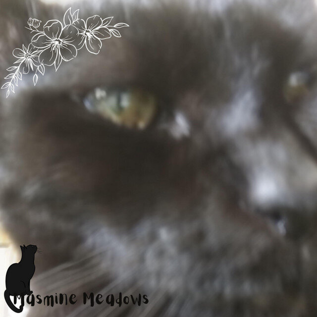 Jasmine, 2