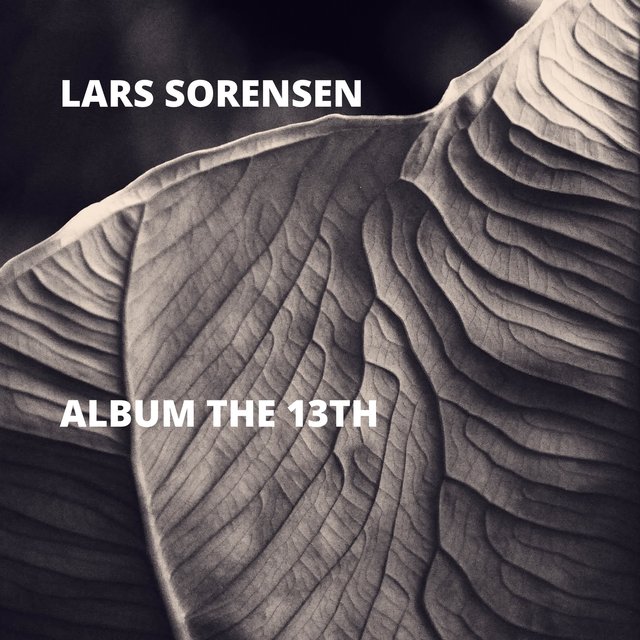 Album the 13th