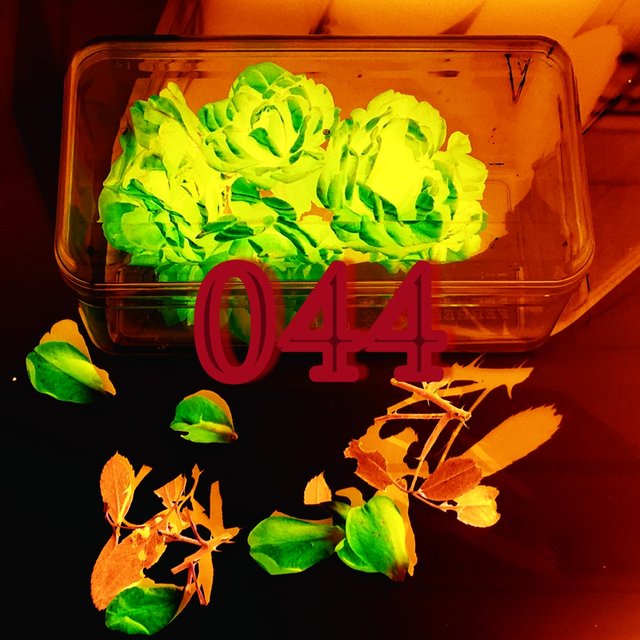 044