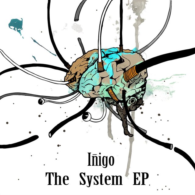 The System 