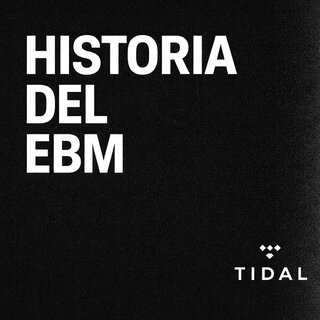 Cover art for album Historia del EBM by User