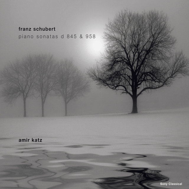 Schubert: Klaviersonaten D 845 & D 958