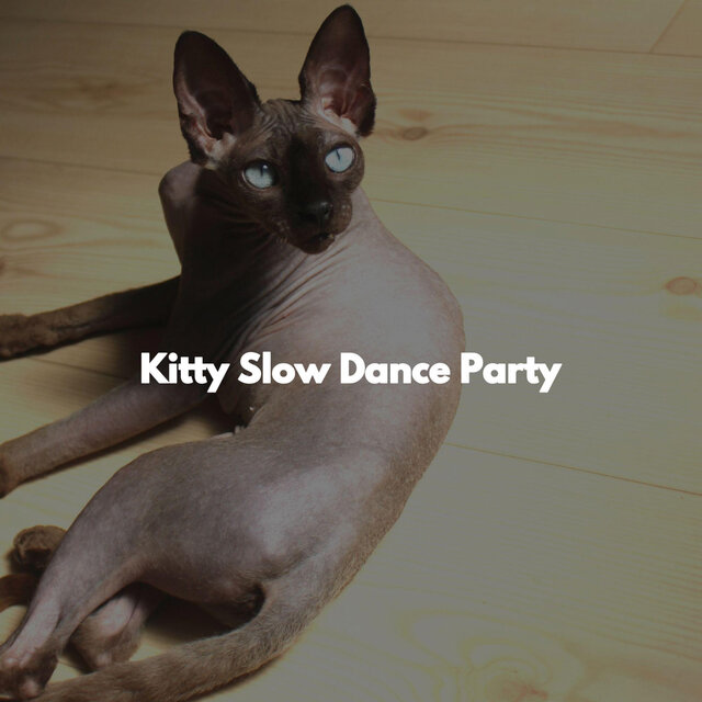 Kitty Slow Dance Party