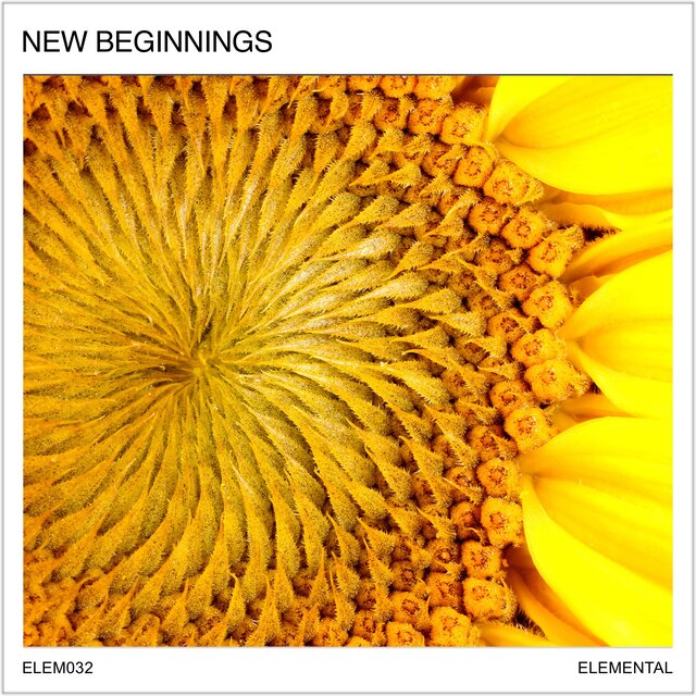 New Beginnings: Fresh & Positive Pastoral