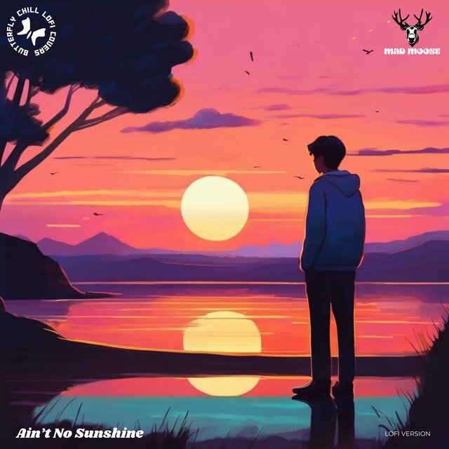 Ain't no Sunshine (Lofi Version)