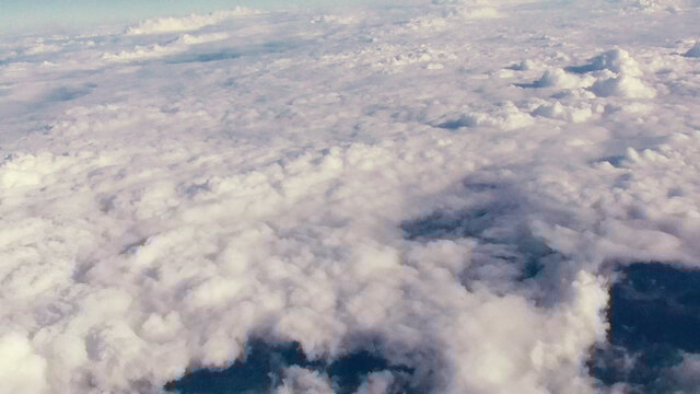 Under Your Wings