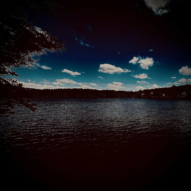 Pond Pond