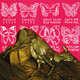 Cover art for album Damaged Goods by The Mohawk Lodge