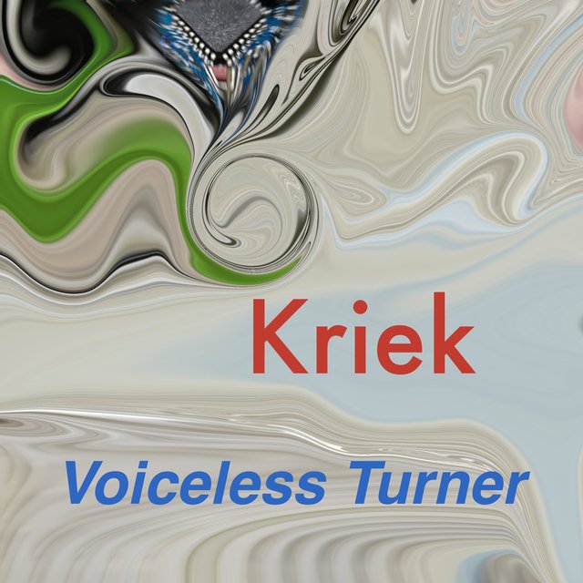 Voiceless Turner