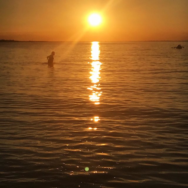 Waves in the Sun