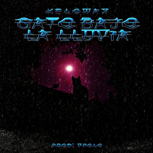 Gato Bajo la Lluvia