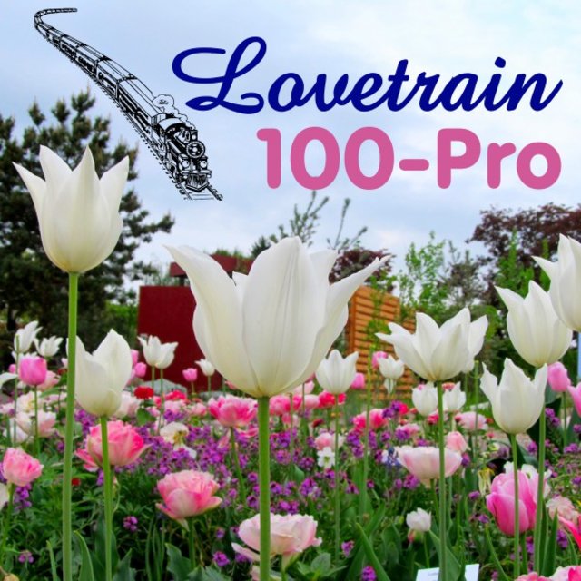 100 Pro