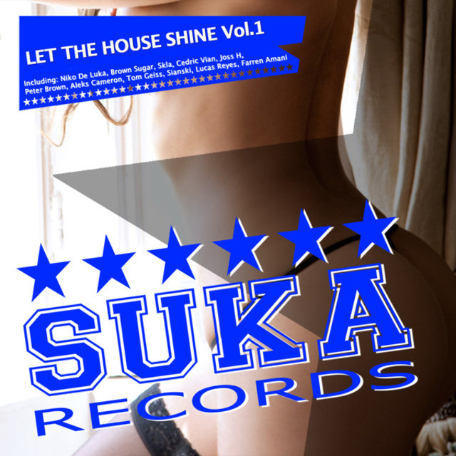 Let the House Shine, Vol. 1