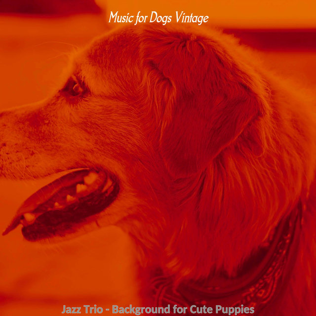 Jazz Trio - Background for Cute Puppies