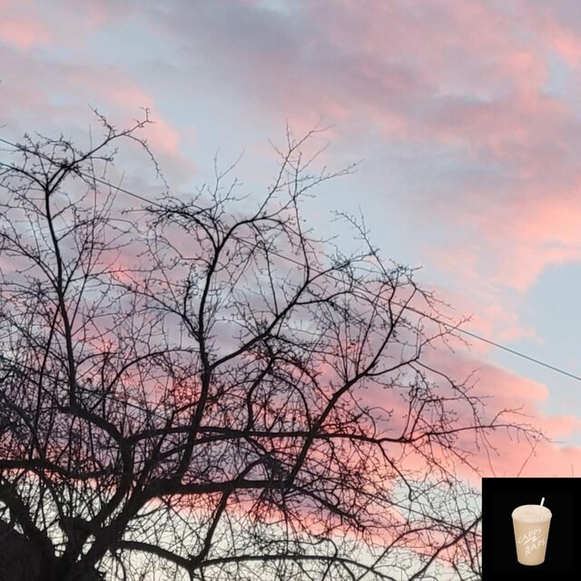good morning