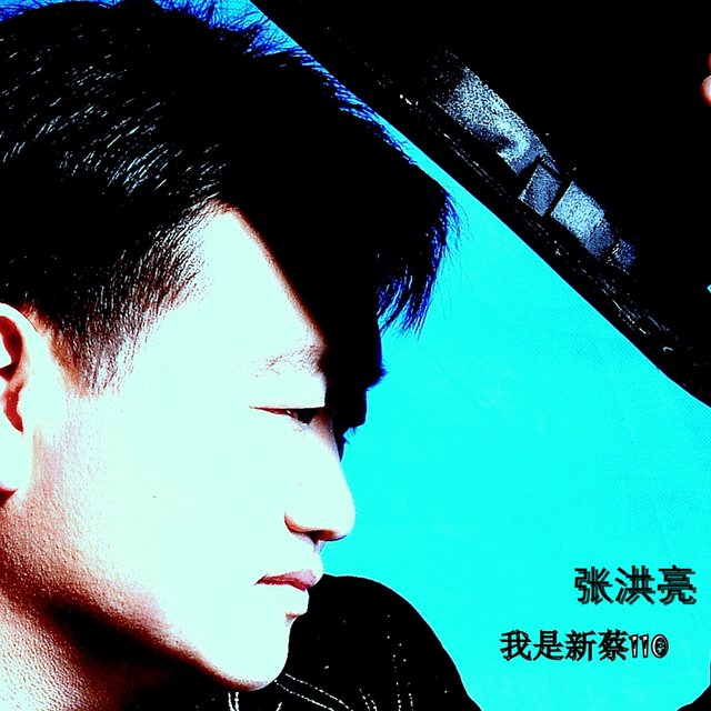 我是新蔡110