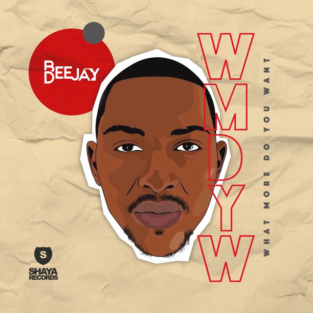 What More Do You Want (feat. Mshayi & Mr Thela)