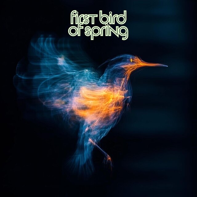 First Bird of Spring