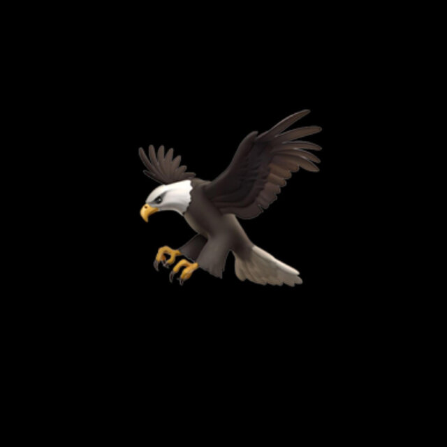 Flock Files