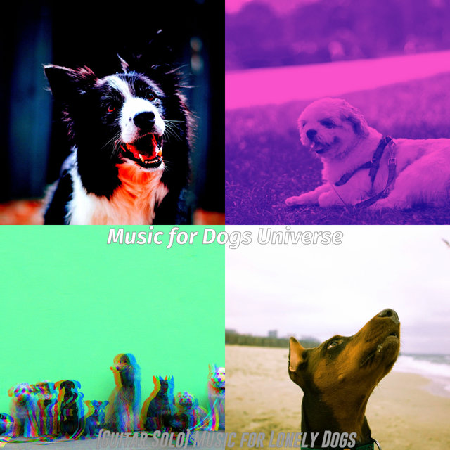 (Guitar Solo) Music for Lonely Dogs